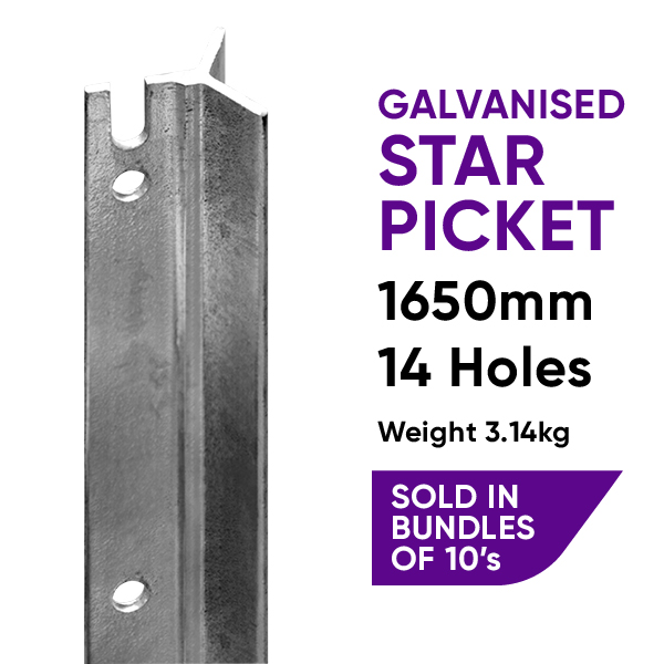 Star Pickets Archives Site HQ