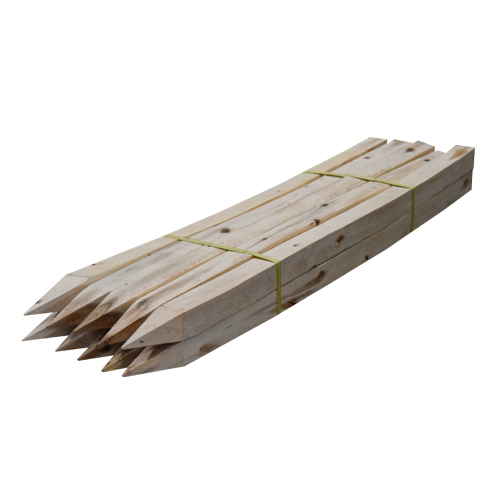 Survey Pegs - Image 2