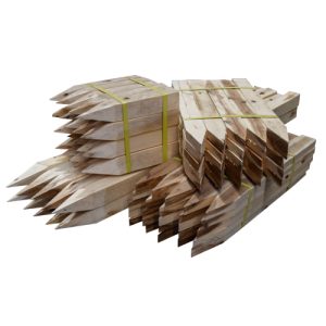 Survey Pegs