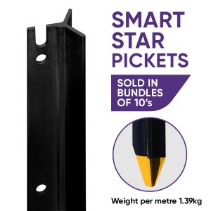 Star Picket Smart
