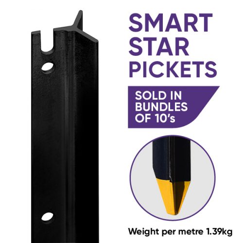 Star Picket Smart